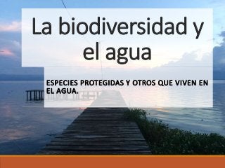 La biodiversidad y
el agua
ESPECIES PROTEGIDAS Y OTROS QUE VIVEN EN
EL AGUA.
 