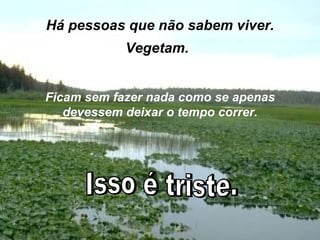 Há pessoas que não sabem viver. Ficam sem fazer nada como se apenas devessem deixar o tempo correr. Isso é triste. Vegetam. 
