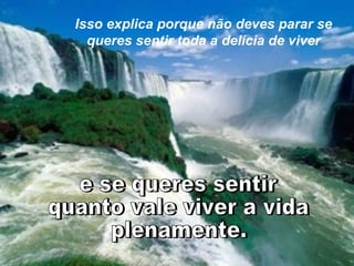 Isso explica porque não deves parar se queres sentir toda a delícia de viver e se queres sentir  quanto vale viver a vida  plenamente. 