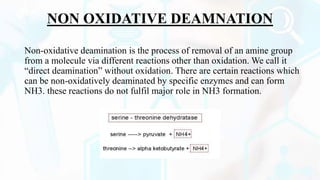 NON OXIDATIVE DEAMNATION
Non-oxidative deamination is the process of removal of an amine group
from a molecule via different reactions other than oxidation. We call it
“direct deamination” without oxidation. There are certain reactions which
can be non-oxidatively deaminated by specific enzymes and can form
NH3. these reactions do not fulfil major role in NH3 formation.
 