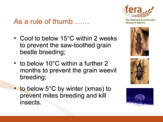 As a rule of thumb…….
• Cool to below 15°C within 2 weeks
to prevent the saw-toothed grain
beetle breeding;
• to below 10°C within a further 2
months to prevent the grain weevil
breeding;
• to below 5°C by winter (xmas) to
prevent mites breeding and kill
insects.
 