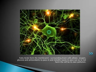 Fatty Acids form the membrane's surrounding brain cells allows oxygen,
glucose and antioxidants to pass in and metallic waste to pass out as to not
                                         harm the cell by its own pollution.
 
