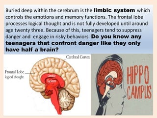 Buried deep within the cerebrum is the limbic system which
controls the emotions and memory functions. The frontal lobe
processes logical thought and is not fully developed until around
age twenty three. Because of this, teenagers tend to suppress
danger and engage in risky behaviors. Do you know any
teenagers that confront danger like they only
have half a brain?
 