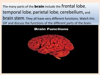 The many parts of the brain include the frontal lobe,
temporal lobe, parietal lobe, cerebellum,and
brain stem. They all have very different functions. Watch this
GIF and discuss the functions of the different parts of the brain.
 