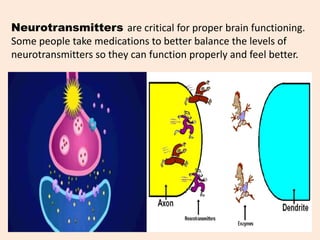 Neurotransmitters are critical for proper brain functioning.
Some people take medications to better balance the levels of
neurotransmitters so they can function properly and feel better.
 