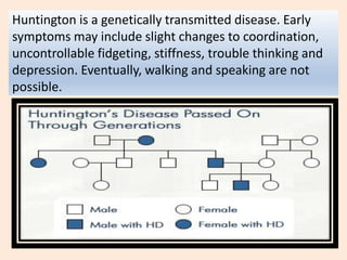 Huntington is a genetically transmitted disease. Early
symptoms may include slight changes to coordination,
uncontrollable fidgeting, stiffness, trouble thinking and
depression. Eventually, walking and speaking are not
possible.
 