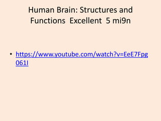 Human Brain: Structures and
Functions Excellent 5 mi9n
• https://www.youtube.com/watch?v=EeE7Fpg
061I
 