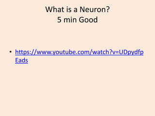 What is a Neuron?
5 min Good
• https://www.youtube.com/watch?v=UDpydfp
Eads
 