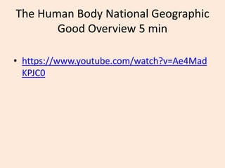 The Human Body National Geographic
Good Overview 5 min
• https://www.youtube.com/watch?v=Ae4Mad
KPJC0
 