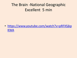 The Brain -National Geographic
Excellent 5 min
• https://www.youtube.com/watch?v=pRFXSjkp
KWA
 