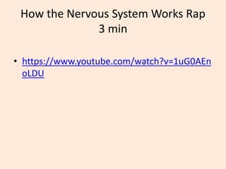 How the Nervous System Works Rap
3 min
• https://www.youtube.com/watch?v=1uG0AEn
oLDU
 
