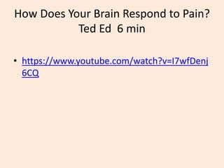 How Does Your Brain Respond to Pain?
Ted Ed 6 min
• https://www.youtube.com/watch?v=I7wfDenj
6CQ
 