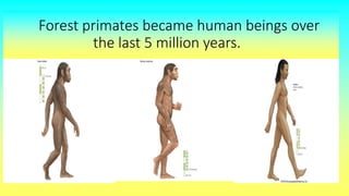 Dean r berry The Earliest Humans: Human Evolution from Hominids to early civilizations 1