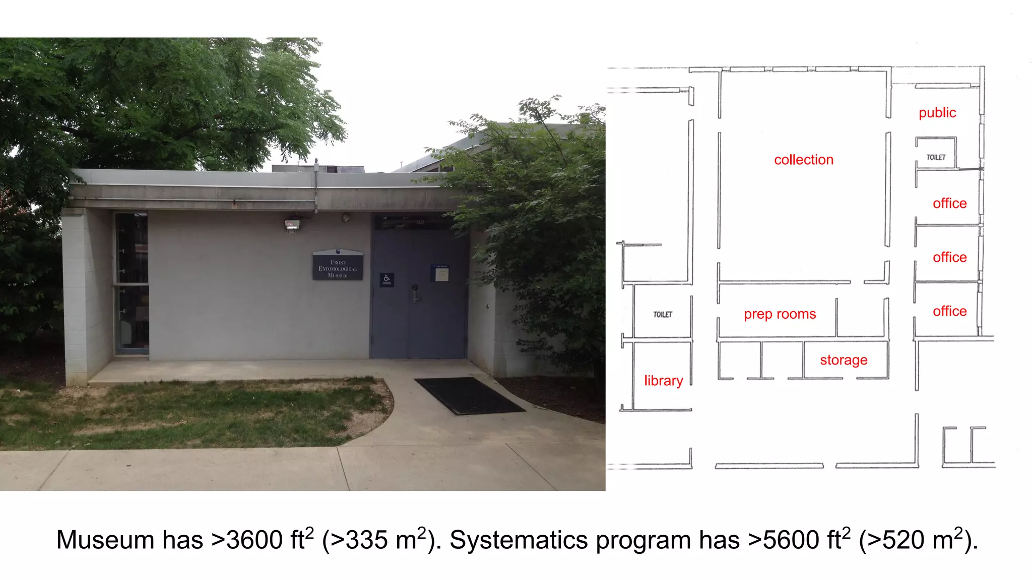 public
collection
office

office

office

prep rooms
storage
library

Museum has >3600 ft2 (>335 m2). Systematics program has >5600 ft2 (>520 m2).

 