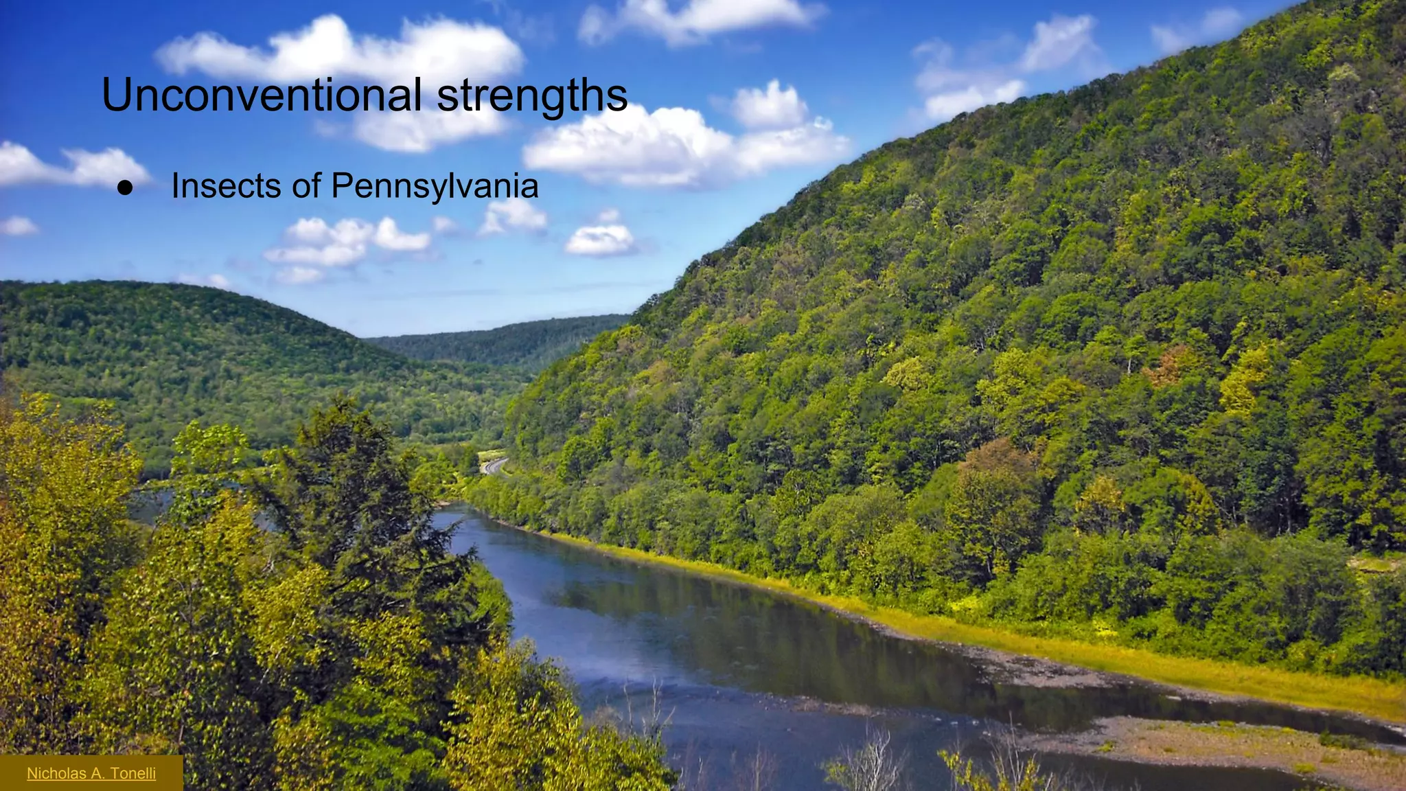 Unconventional strengths
●

Nicholas A. Tonelli

Insects of Pennsylvania

 