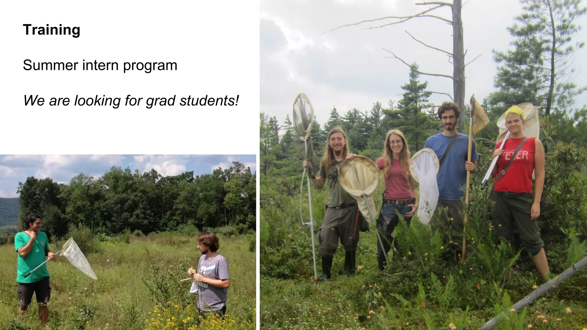 Training
Summer intern program
We are looking for grad students!

 
