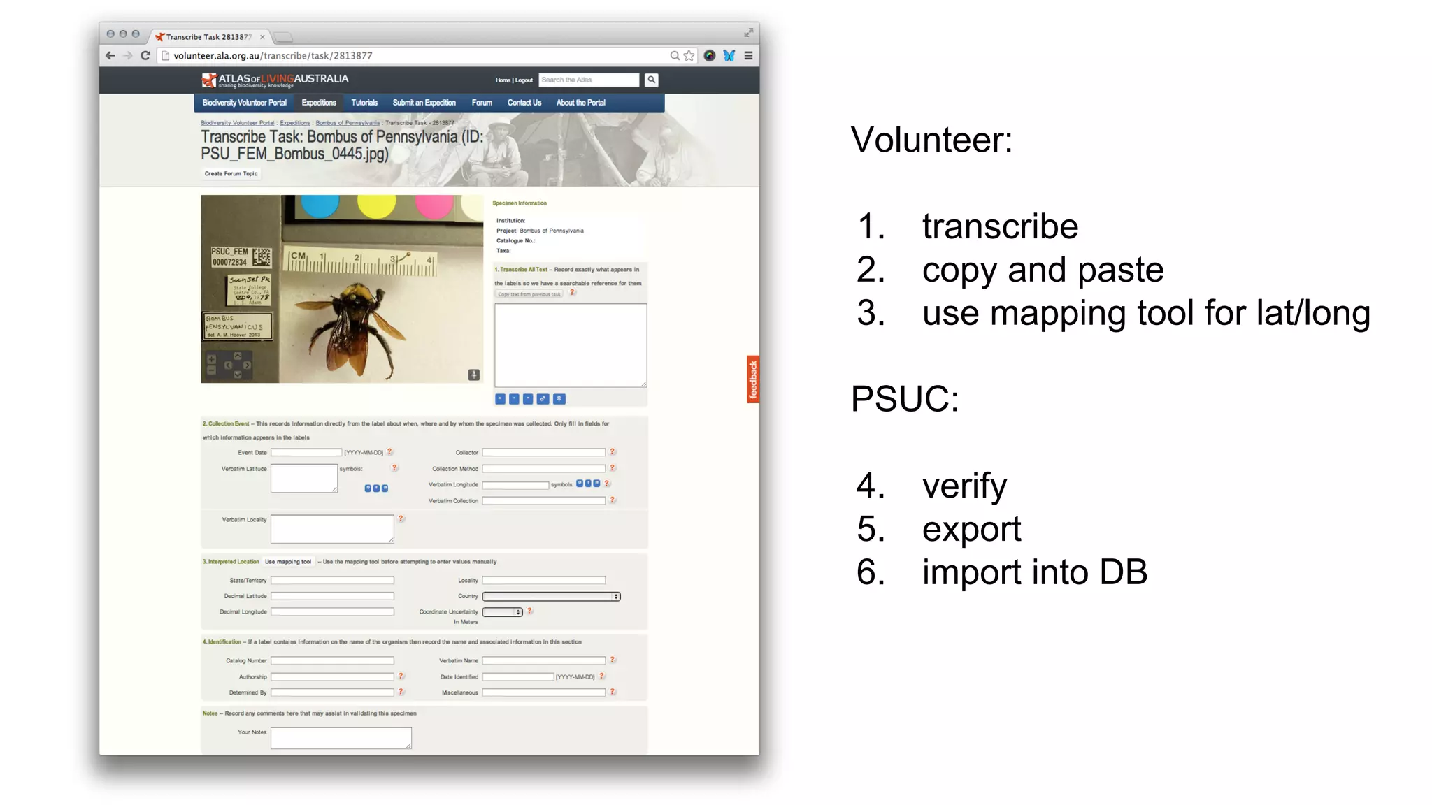 Volunteer:
1.
2.
3.

transcribe
copy and paste
use mapping tool for lat/long

PSUC:
4.
5.
6.

verify
export
import into DB

 