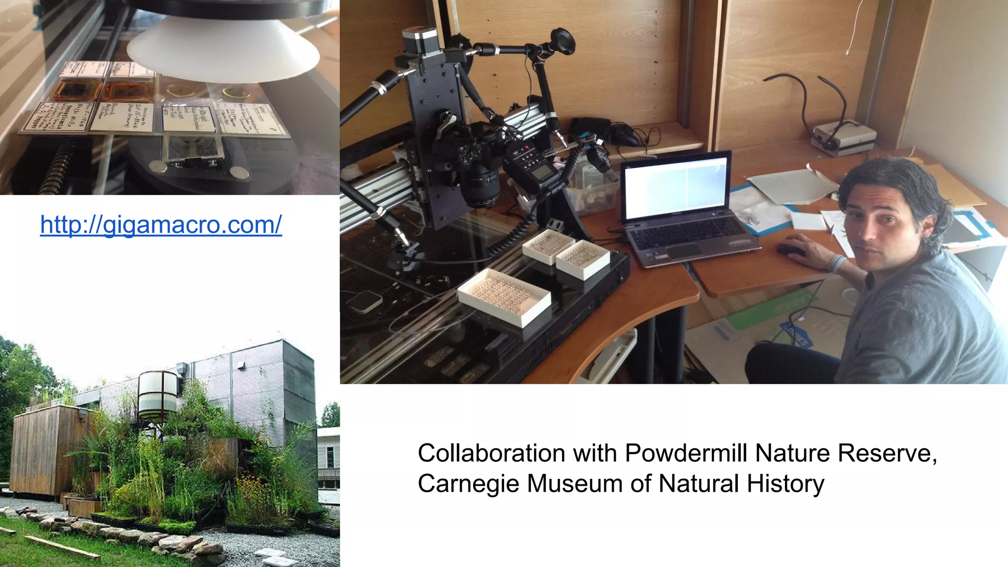 http://gigamacro.com/

Collaboration with Powdermill Nature Reserve,
Carnegie Museum of Natural History

 