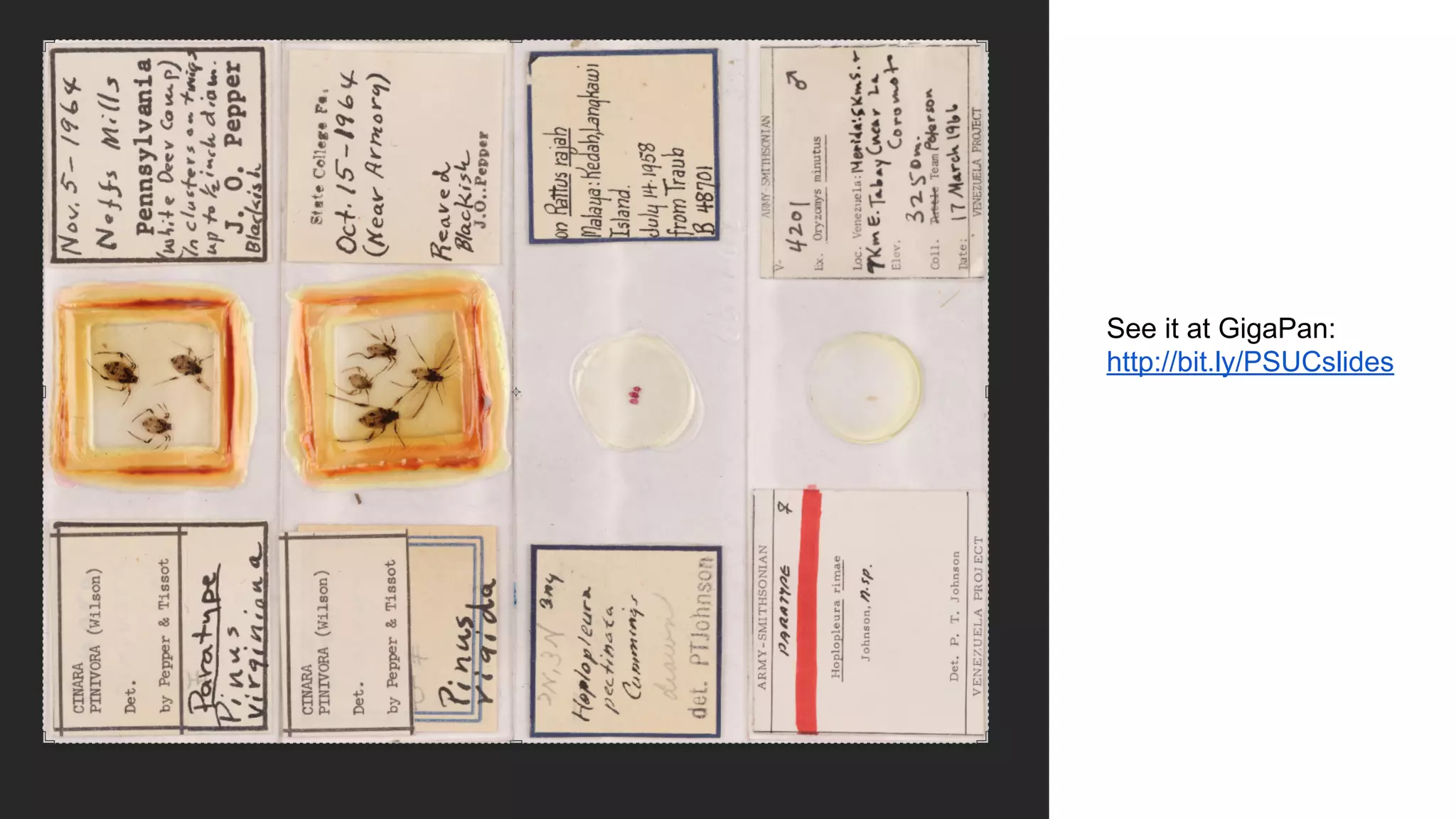 See it at GigaPan:
http://bit.ly/PSUCslides

 