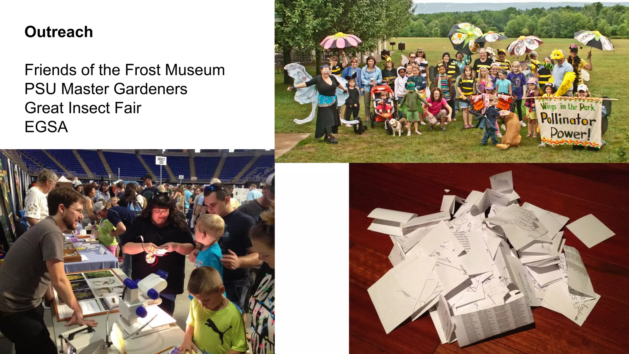 Outreach
Friends of the Frost Museum
PSU Master Gardeners
Great Insect Fair
EGSA

 