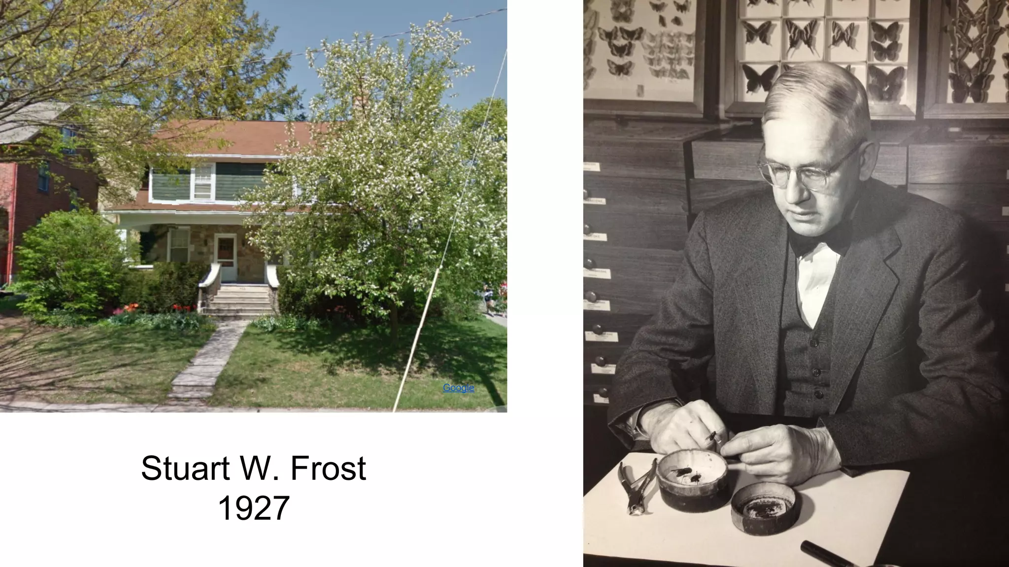 Google

Stuart W. Frost
1927

 
