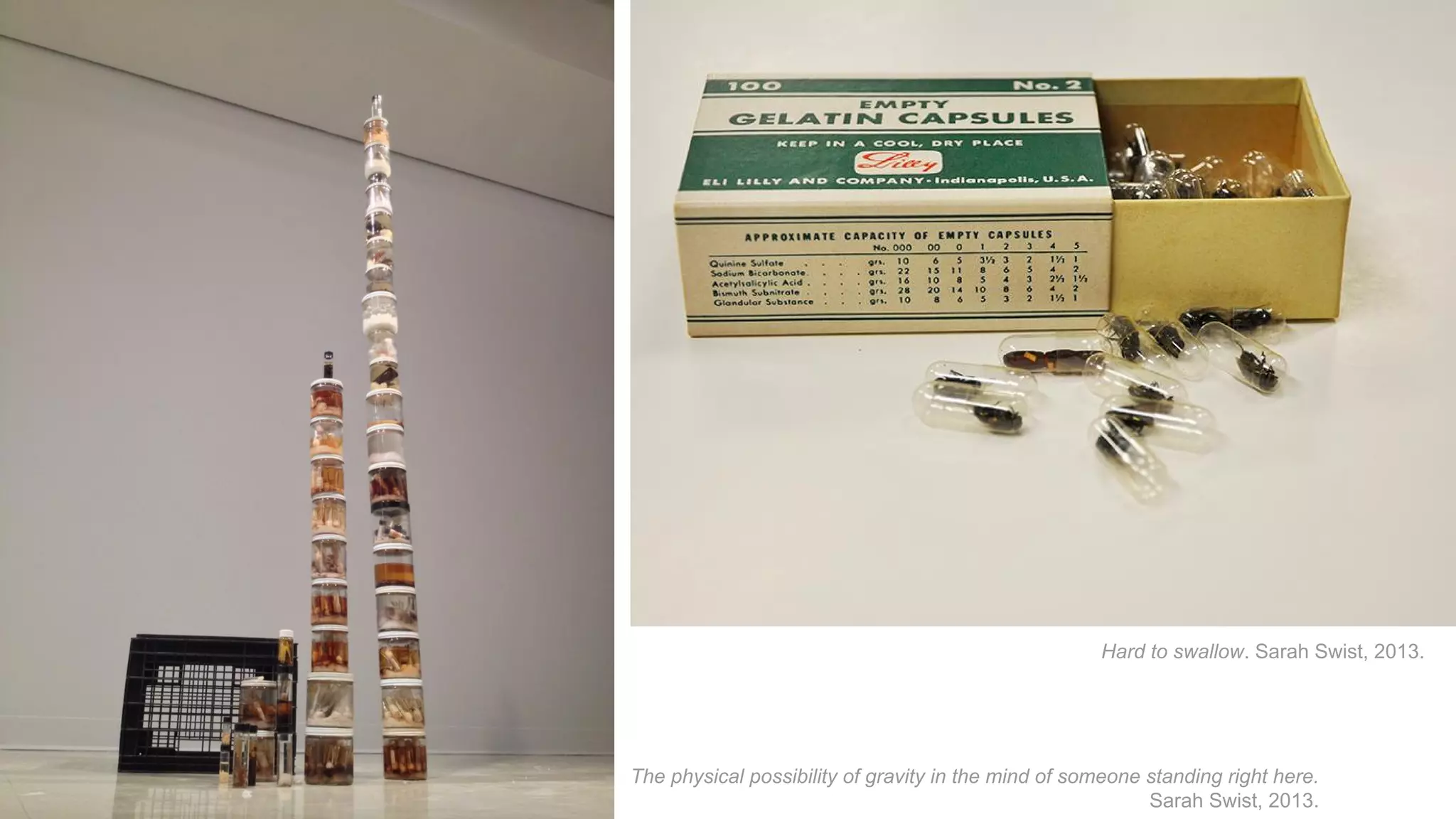 Hard to swallow. Sarah Swist, 2013.

The physical possibility of gravity in the mind of someone standing right here.
Sarah Swist, 2013.

 