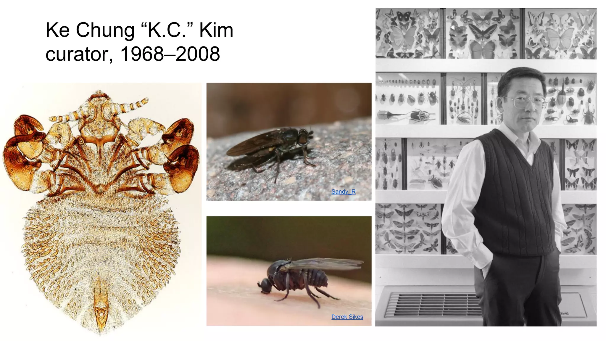 Ke Chung “K.C.” Kim
curator, 1968–2008

Sandy_R

Derek Sikes

 