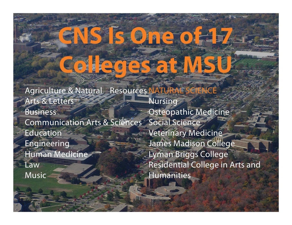 College Of Natural Science Requirements Michigan State University College Of Natural Science Requirements Michigan State University