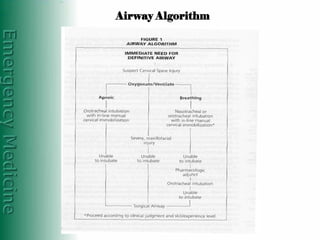 Basic concepts of resuscitation in trauma patients | PDF