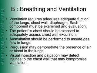 Basic concepts of resuscitation in trauma patients | PDF