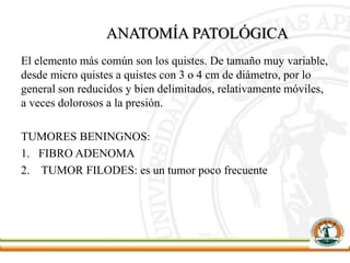 ANATOMÍA PATOLÓGICA
El elemento más común son los quistes. De tamaño muy variable,
desde micro quistes a quistes con 3 o 4 cm de diámetro, por lo
general son reducidos y bien delimitados, relativamente móviles,
a veces dolorosos a la presión.
TUMORES BENINGNOS:
1. FIBRO ADENOMA
2. TUMOR FILODES: es un tumor poco frecuente
 