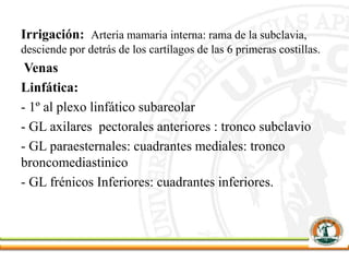 Irrigación: Arteria mamaria interna: rama de la subclavia,
desciende por detrás de los cartílagos de las 6 primeras costillas.
Venas
Linfática:
- 1º al plexo linfático subareolar
- GL axilares pectorales anteriores : tronco subclavio
- GL paraesternales: cuadrantes mediales: tronco
broncomediastinico
- GL frénicos Inferiores: cuadrantes inferiores.
 