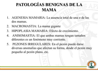 PATOLOGÍAS BENIGNAS DE LA
MAMA
1. AGENESIA MAMARIA: La ausencia total de una o de las
dos mamas.
2. MACROMASTIA: La mama gigante
3. HIPOPLASIA MAMARIA: Efecto de crecimiento.
4. ANISOMASTIA: El que ambas mamas tengan tamaños
diferentes es un fenómeno muy corriente.
5. PEZONES IRREGULARES: En el pezón puede darse
diversas anomalías que afectan su forma, desde el pezón muy
pequeño al pezón plano, etc.
 