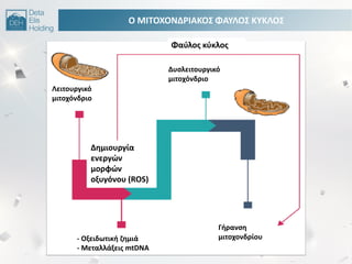 Ο ΜΙΣΟΧΟΝΔΡΙΑΚΟ΢ ΦΑΤΛΟ΢ ΚΤΚΛΟ΢
Φαφλοσ κφκλοσ
Λειτουργικό
μιτοχόνδριο
Δυςλειτουργικό
μιτοχόνδριο
Γιρανςθ
μιτοχονδρίου
Δθμιουργία
ενεργϊν
μορφϊν
οξυγόνου (ROS)
- Οξειδωτικι ηθμιά
- Μεταλλάξεισ mtDNA
 