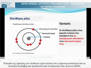 Thefreeradicaltheoryofagingpositsthatagingiscausedbyaccumulationofdamageinflicted
byreactiveoxygenspecies(ROS)
ΔΙΠΛΟ ΚΕΡΔΟ΢: ΛΙΓΟΣΕΡΕ΢ ΕΠΙΒΛΑΒΕΙ΢ ΡΙΗΕ΢ - ΠΕΡΙ΢΢ΟΣΕΡΘ
ΚΤΣΣΑΡΙΚΘ ΕΝΤΔΑΣΩ΢Θ
Η ζεωπία ηερ γήπανζερ ηων ειεύζεπων πηδών δειώνεη όηη ε γήπανζε πποθαιείηαη από ηε
ζςζζώπεςζε βιάβερ πος πποθαιείηαη από ανηηδπαζηηθά είδε οξςγόνος (ROS).
Ελεφκερεσ ρίηεσ
Οριςμόσ:
Οι ελεφκερεσ ρίηεσ είναι
χθμικζσ ενϊςεισ που
περιζχουν ζνα μθ
ηευγαρωμζνο θλεκτρόνιο
ςτθν εξωτερικι τροχιά
τουσ.
Παράδειγμα ελεφκερθσ ρίηασ
Πυρινασ
Εξωτερικι τροχιά
Μθ ηευγαρωμζνο θλεκτρόνιο
 