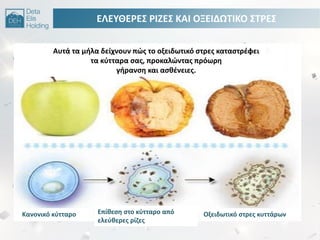 ΕΛΕΤΘΕΡΕ΢ ΡΙΗΕ΢ ΚΑΙ ΟΞΕΙΔΩΣΙΚΟ ΢ΣΡΕ΢
Αυτά τα μιλα δείχνουν πϊσ το οξειδωτικό ςτρεσ καταςτρζφει
τα κφτταρα ςασ, προκαλϊντασ πρόωρθ
γιρανςθ και αςκζνειεσ.
Κανονικό κφτταρο Επίκεςθ ςτο κφτταρο από
ελεφκερεσ ρίηεσ
Οξειδωτικό ςτρεσ κυττάρων
 