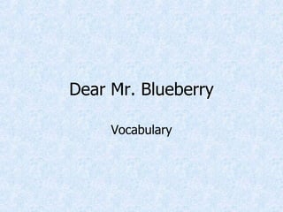 Dear Mr. Blueberry Vocabulary 