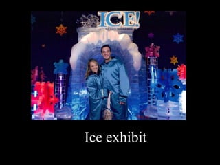 Ice exhibit