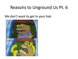 Reasons to Unground Us Pt. 6We don’t want to get in your hair.
