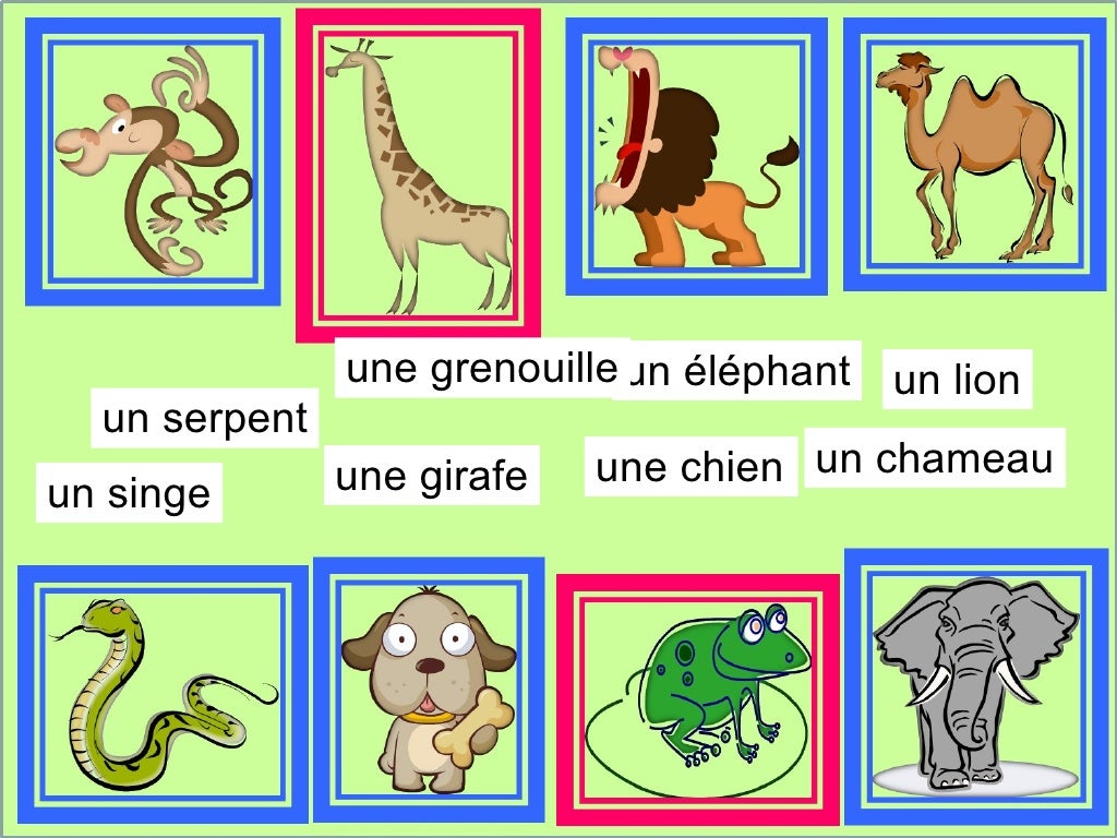 Dear Zoo Presentation for KS2 French & Spanish