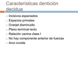 Características dentición
decidua
 Incisivos espaciados
 Espacios primates
 Overjet disminuido
 Plano terminal recto
 Relación canina clase I
 No hay componente anterior de fuerzas
 Arco ovoide
 