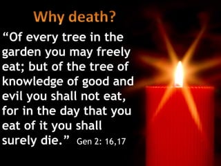 “Of every tree in the
garden you may freely
eat; but of the tree of
knowledge of good and
evil you shall not eat,
for in the day that you
eat of it you shall
surely die.” Gen 2: 16,17
 