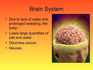 Brain System Due to lack of water and prolonged sweating, the body: Loses large quantities of salt and water Dizziness occurs Nausea