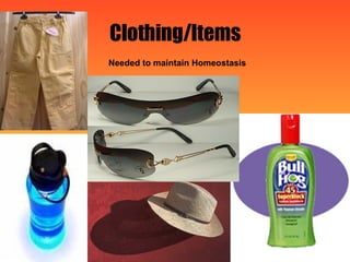 Clothing/Items Needed to maintain Homeostasis