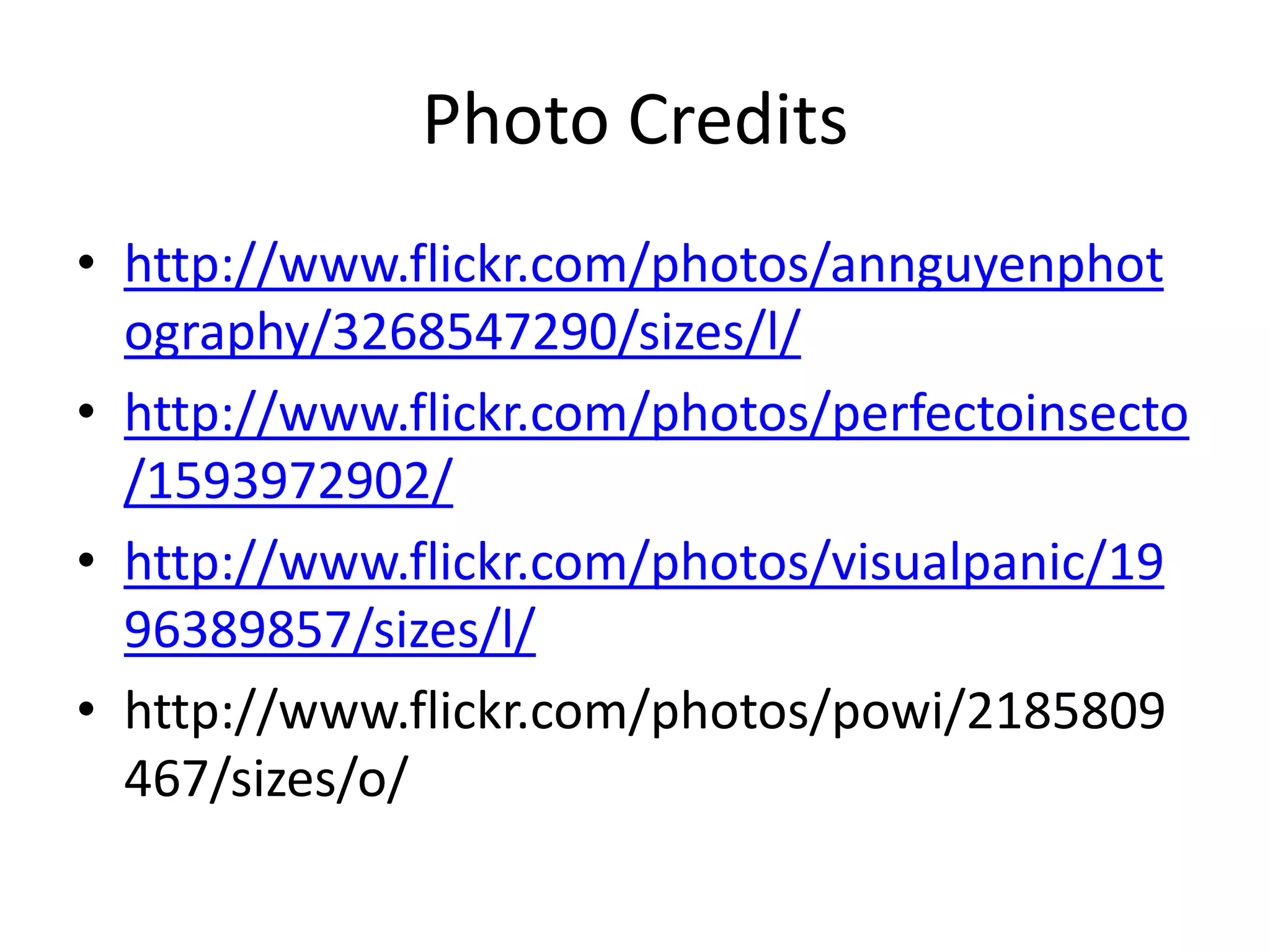 Photo Creditshttp://www.flickr.com/photos/annguyenphotography/3268547290/sizes/l/http://www.flickr.com/photos/perfectoinsecto/1593972902/http://www.flickr.com/photos/visualpanic/1996389857/sizes/l/http://www.flickr.com/photos/powi/2185809467/sizes/o/