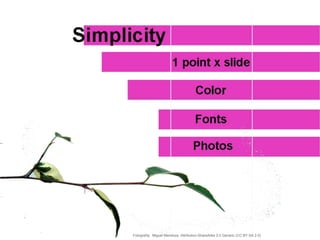 Fotografía: Miguel Mendoza. Attribution-ShareAlike 2.0 Generic (CC BY-SA 2.0)
 