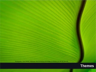 Photography: Coby Bidwell. Attribution-NonCommercial-ShareAlike 2.0 Generic (CC BY-NC-SA 2.0)
 