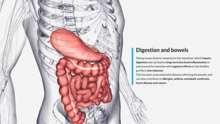 Digestion and bowels
Sitting causes food to compress in the intestines, which impairs
digestion and can lead to long-term low level inflammation in
and around the intestine with negative effects on the healthy
gut flora (microbiome).
This has been associated with diseases affecting the bowels, and
can also contribute to allergies, asthma, metabolic syndrome,
heart disease and cancer.
 
