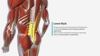 Lower Back
Sitting puts pressure on the spine (mostly at critical junctions),
resulting in herniated discs, chronic back pain and spinal
degeneration.
Many also suffer mental effects from back pain, all too often
leading to overprescription and opioid abuse.
 