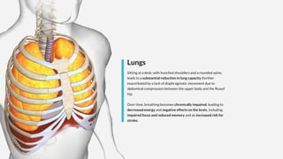 Lungs
Sitting at a desk, with hunched shoulders and a rounded spine,
leads to a substantial reduction in lung capacity (further
exacerbated by a lack of diaphragmatic movement due to
abdominal compression between the upper body and the flexed
hip.
Over time, breathing becomes chronically impaired, leading to
decreased energy and negative effects on the brain, including
impaired focus and reduced memory and an increased risk for
stroke.
 